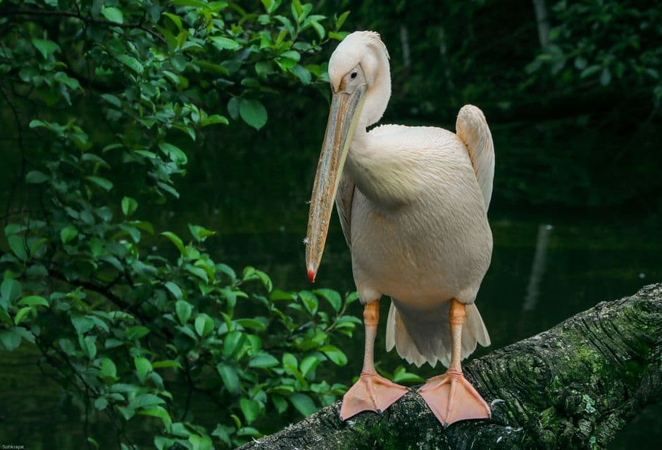 Accessible travel in Gabon: what you actually need to know