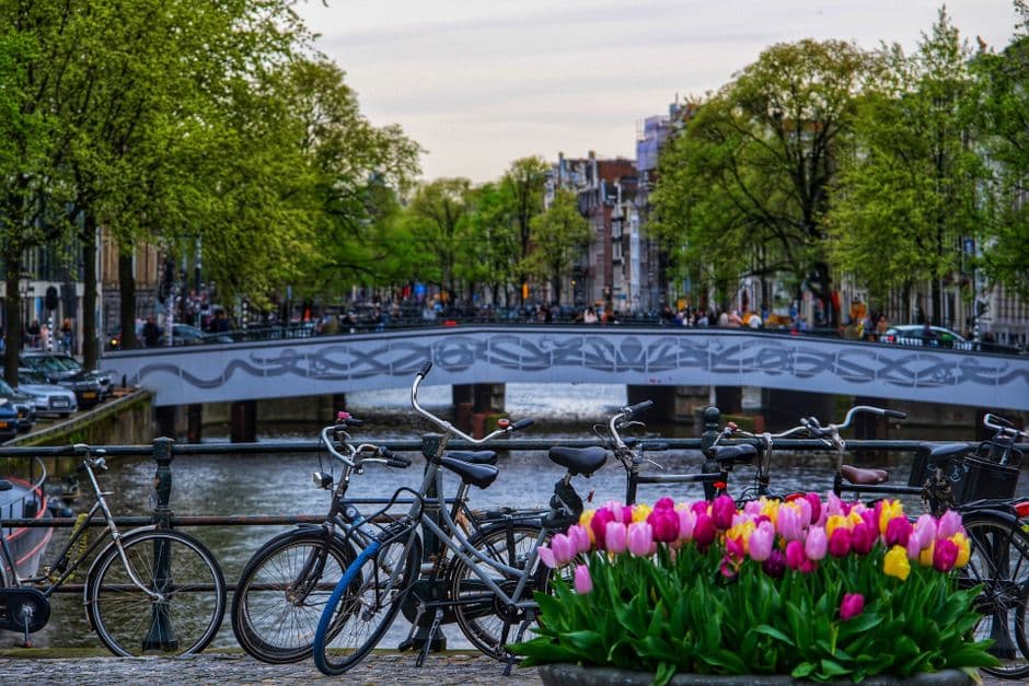 Budget Netherlands: Skip Amsterdam's Tourist Tax, Save €40/Day