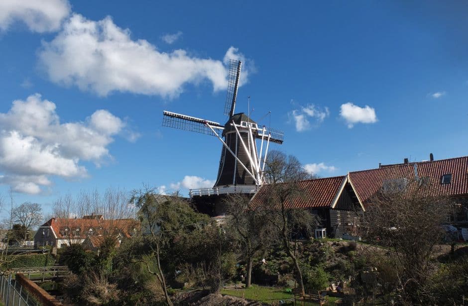 Dutch Transport Apps: Which Ones Actually Work for Visitors