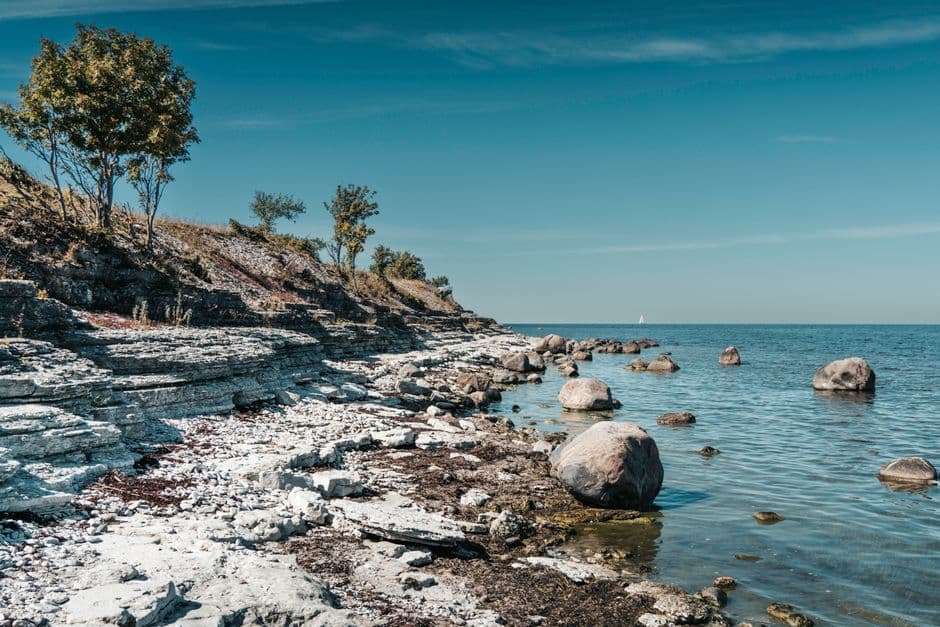 Survival Estonian: Five phrases that actually work for visitors