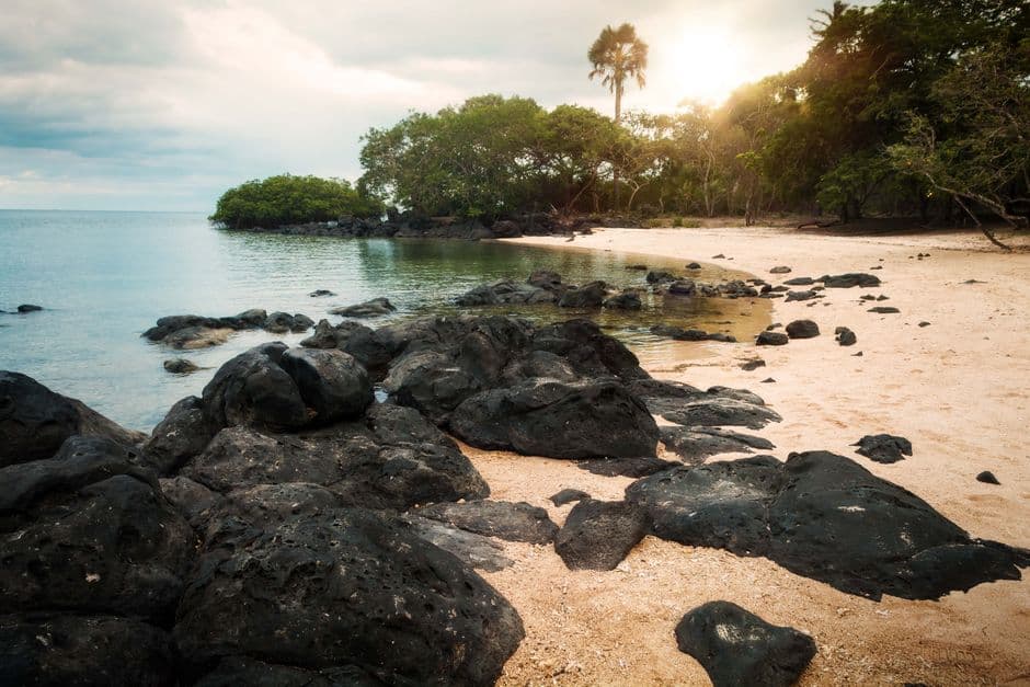 Where to shoot in Gabon: timing light at rainforest, coast & falls