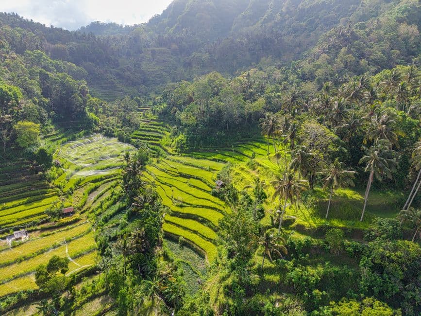 Ramadan rewires Indonesia's nightlife — here's what actually stays open