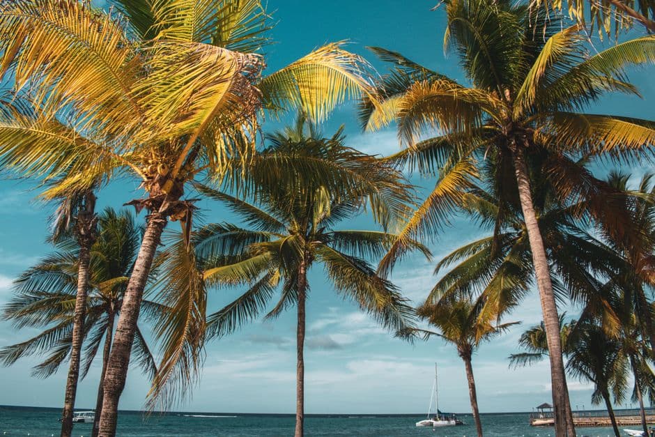 Jamaica's Best Neighborhoods: Where to Stay by Your Travel Style