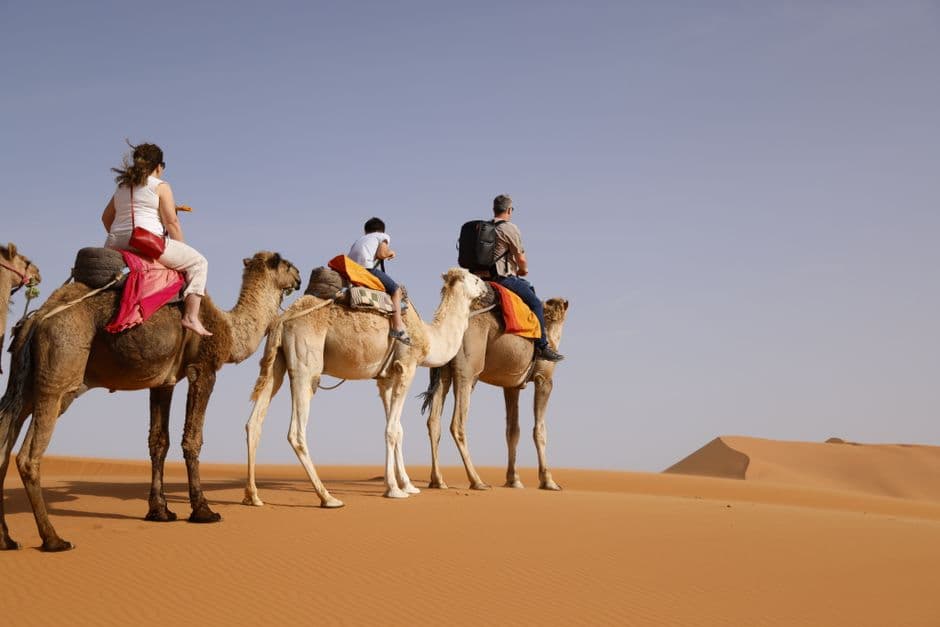 Speak Your Way Through Morocco: Darija Phrases That Actually Matter