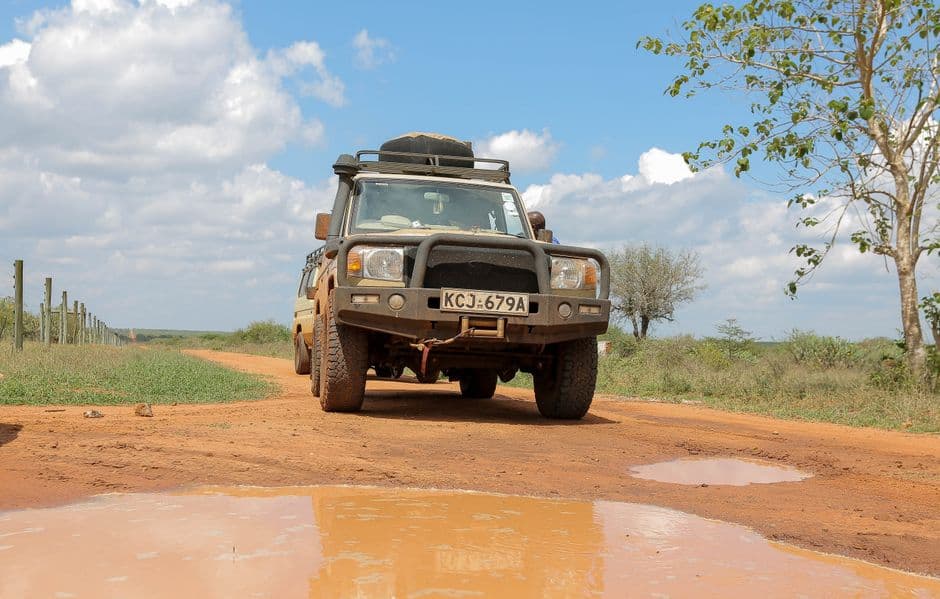 When to Visit Kenya: Balancing Wildlife, Weather & Crowds