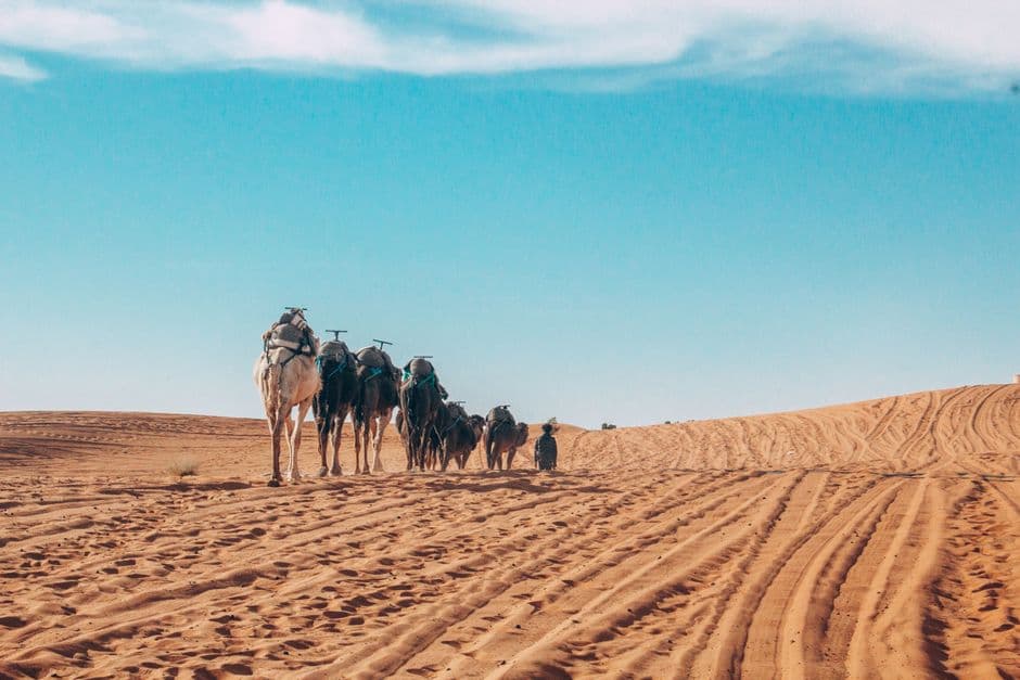Tipping in Morocco: What to Give, Who to Give It To, and When Not To
