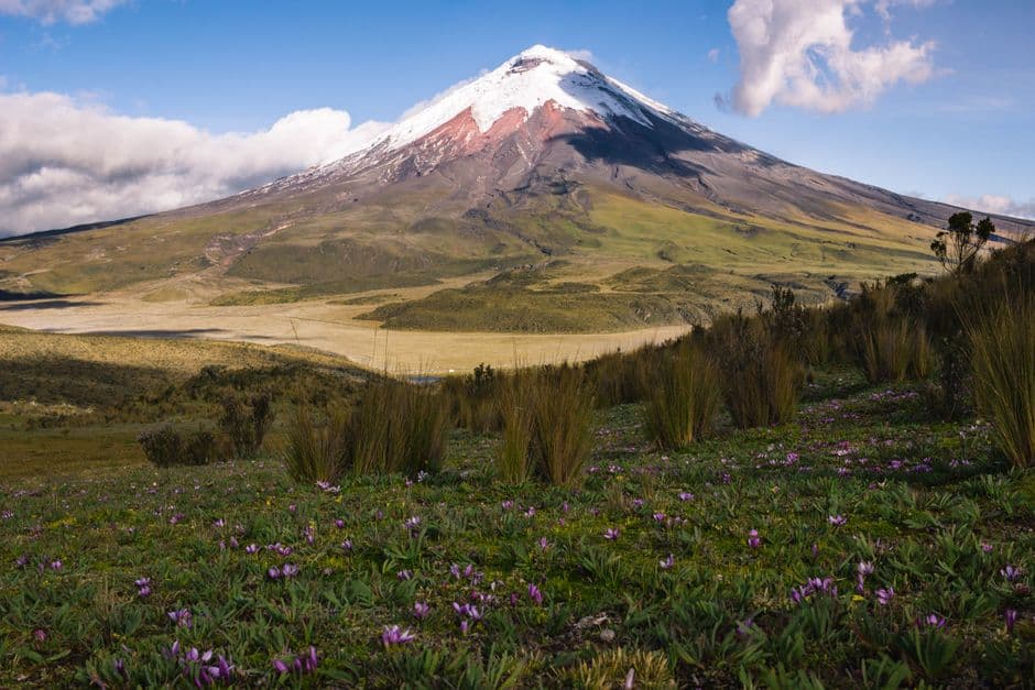 5 day trips from Quito: Cloud forests, volcanoes & crater lakes