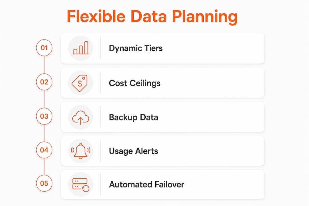 Infographic showing key features of flexible data planning