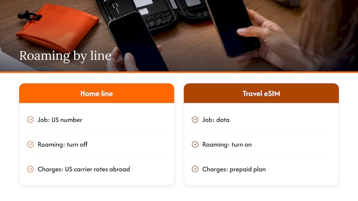 Our perspective: roaming is a per-line decision — overview diagram